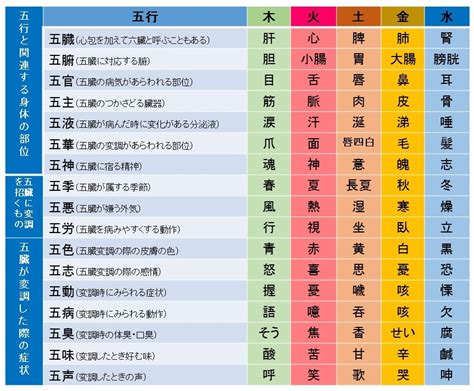 五行色体表とは|五行色体表とは？実際の五行色体表をを見て覚えよう 